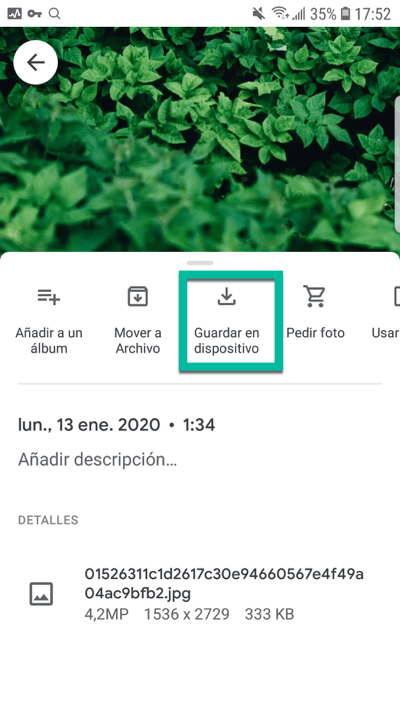 Google Fotos guardar en dispositivo
