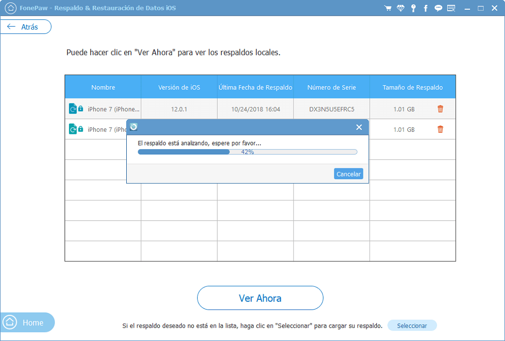 Analizar el respaldo