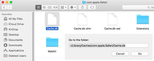 borrar el archivo para acelerar Safari