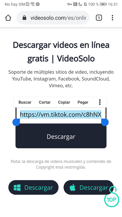 Descargar videos Tik Tok online