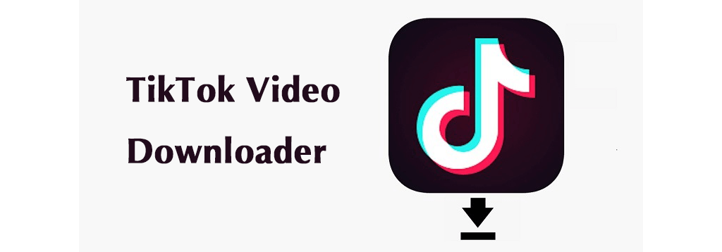 descargar video Tik Tok